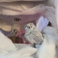 3bb730cf-dbf6-4d99-aded-f247c338122e